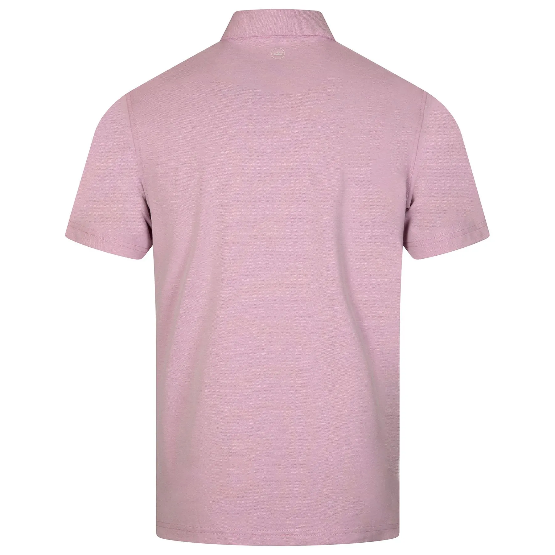 Albatross Cotton Blend Pique Polo Valencia - SS24